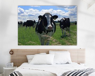 Koeien in de wei van MSP Canvas