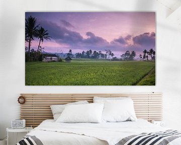 Zonsopkomst rijstveld landschap Indonesie  van Manon Ruitenberg