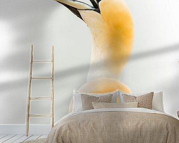 Jan van Gent by Gerrit van de Velde