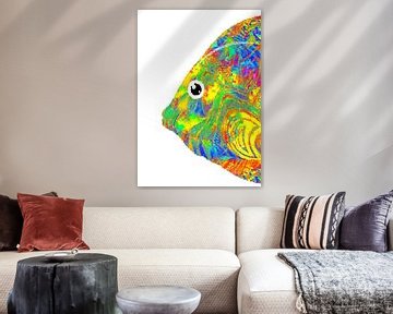 kleurrijke vissen van Marion Tenbergen