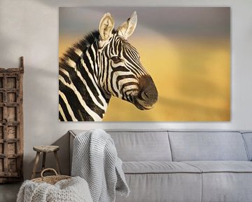 Portret van een Gewone zebra of Steppezebra (Equus quagga) in close-up van Nature in Stock