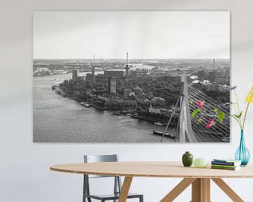 Het topje van de Erasmusbrug in Rotterdam van MS Fotografie | Marc van der Stelt