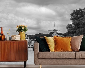 Mills Lily and Star at the Kralingse Plas in Rotterdam by MS Fotografie | Marc van der Stelt