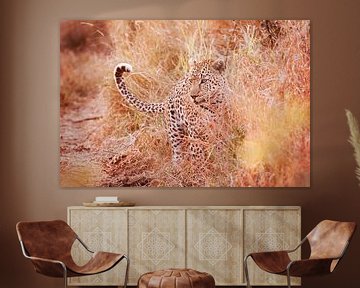 Leopard poses at sunset by Lotje Hondius