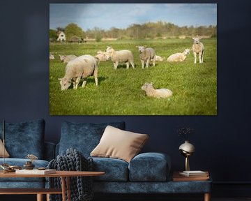 Grazende schapen  van Michel Geluk