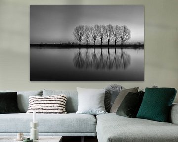 7 arbres IJssel - Dieren sur Mart Stevens