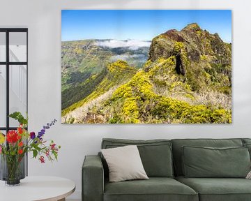 Bloemen in de bergen op Madeira van Michel van Kooten