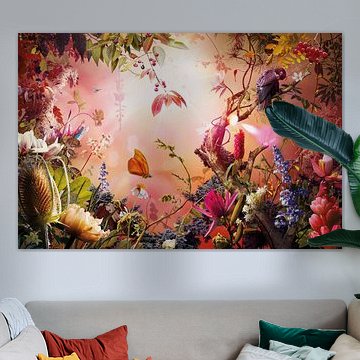 Lueur d'espoir sur Jesper Krijgsman