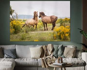 Twee konikpaarden van Pim Leijen