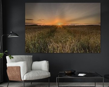  Sunset grain field by Jan Koppelaar