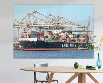 Container schip aangemeerd in de haven van Rotterdam op de Maasvlakte