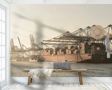 Cargo container ship at a container terminal in Rotterdam port