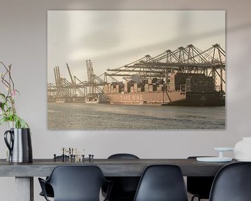 Container schip aangemeerd in de haven van Rotterdam op de Maasvlakte