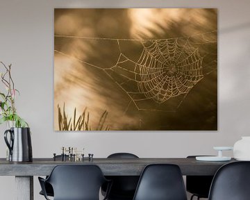 Spinnenweb bij ochtendgloren van Karen de Geus