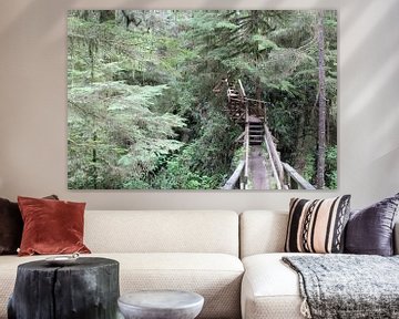 Rainforest Vancouver Island van Elisabeth Eisbach