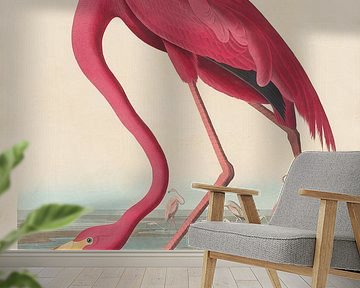 Amerikanischer Flamingo - John James Audubon