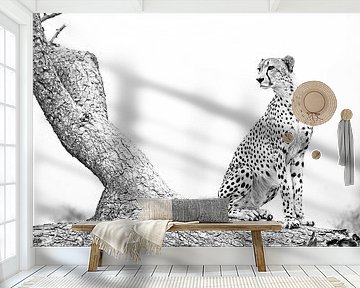 Cheetah King poses  by Lotje Hondius