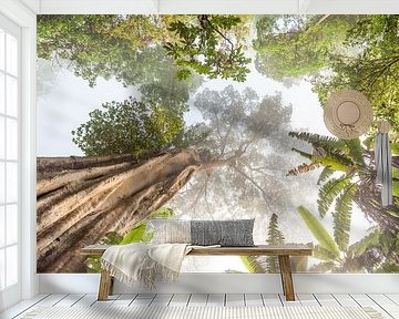 Tall tree in Thailand by Marcel Derweduwen