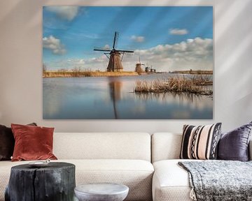 Kinderdijk van Bart Hardorff