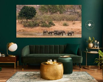 Olifanten in Afrika van Mark den Boer