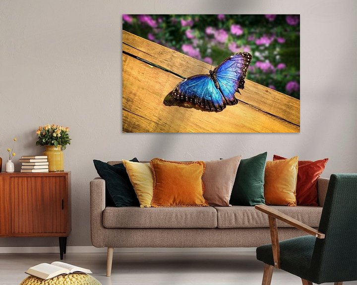 Sfeerimpressie: Blauwe Morpho Vlinder op een houten plank van Tim Abeln