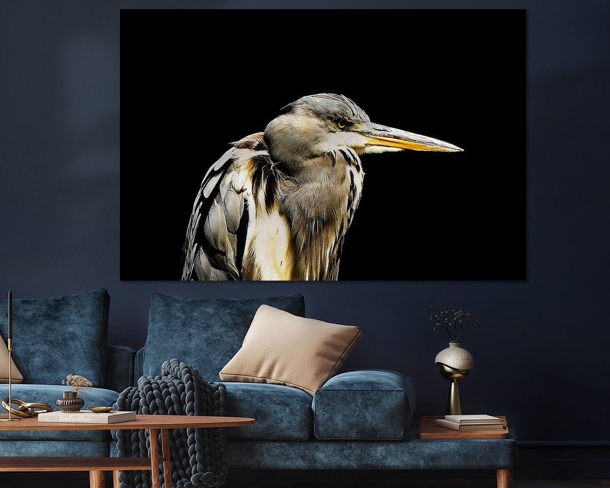 Raumvorschau