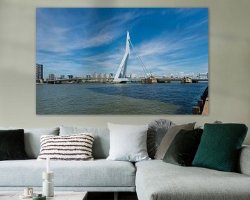 De Erasmusbrug in Rotterdam van Brian Morgan