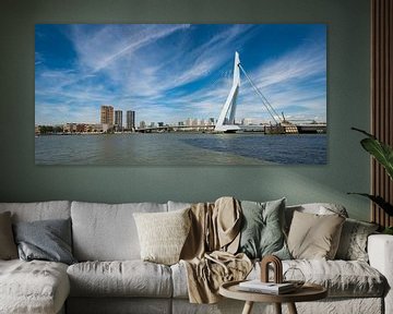 Erasmusbrug te Rotterdam van Brian Morgan