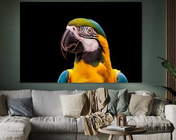 Portret van een papegaai  van Tim Abeln