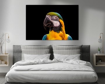 Portret van een papegaai  von Tim Abeln