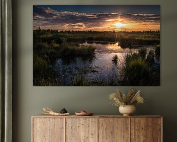 Sunset on the engbertsdijksvenen by Martijn van Steenbergen
