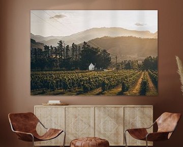 Wijngaarden, Franschhoek, Zuid-Afrika van Mark Wijsman
