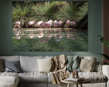 Spiegelende Flamingo,s