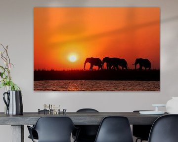 Afrikaanse zonsondergang Botswana van Lotje Hondius