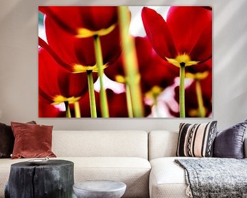 Flower Power 4 by Bee Art foto