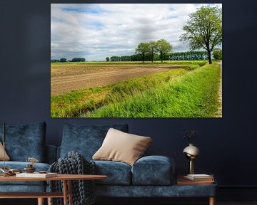 Kleurrijk agrarisch landschap in het zomerseizoen. van Ruud Morijn