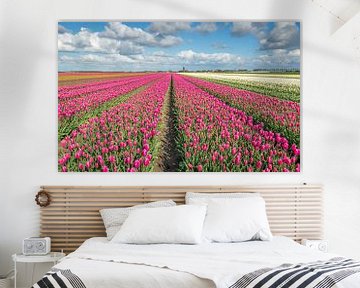 Kleurige tulpenvelden in Oost Flakkee by Ruud Morijn