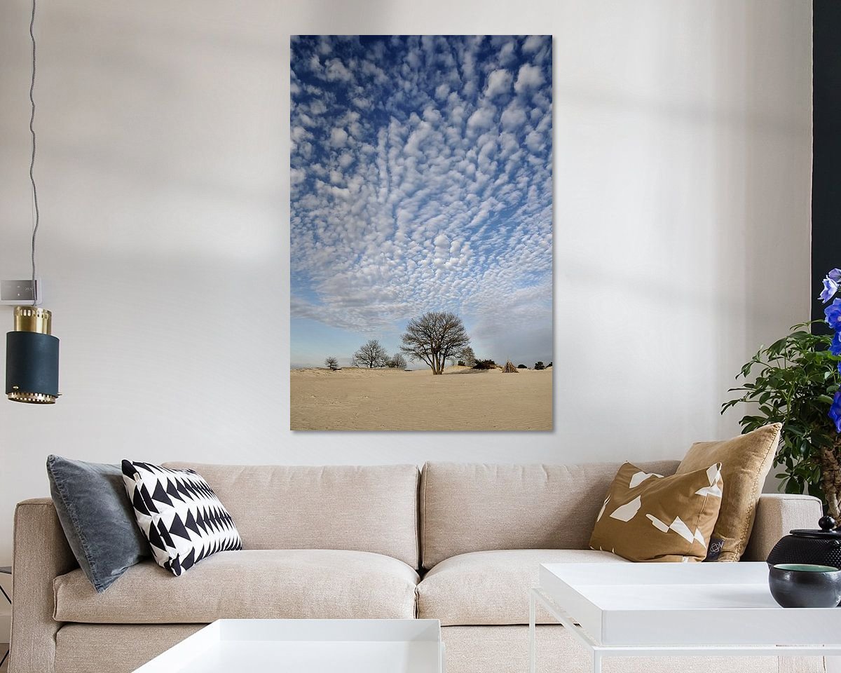 Raumvorschau
