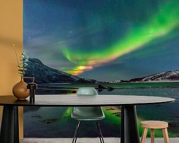 Aurora Northern Polar light in night sky over Northern Norway by Sjoerd van der Wal Photography