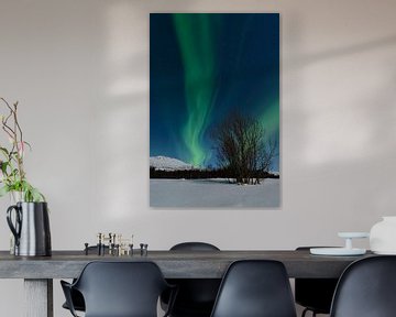 Aurora Northern Polar Licht im Nachthimmel über Nord-Norwegen von Sjoerd van der Wal Fotografie