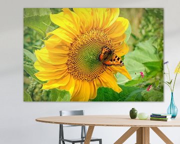 Fleurs sauvages avec tournesol et papillon sur eric van der eijk