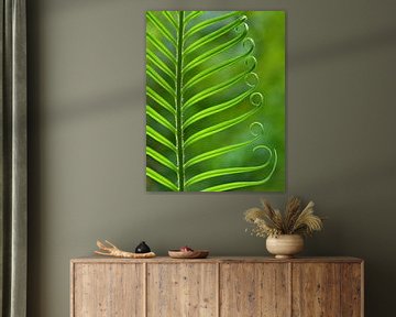 Nature's Green (Varenblad in groen) van Caroline Lichthart