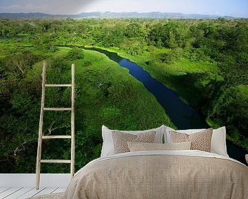 Aerial view of the Chagres river in Soberania National Park, Panama by Nature in Stock