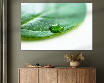 Goutte d'eau sur une feuille verte sur Ricardo Bouman Photographie