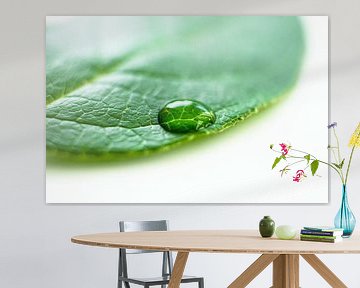 Waterdruppel op een groene blad van Ricardo Bouman