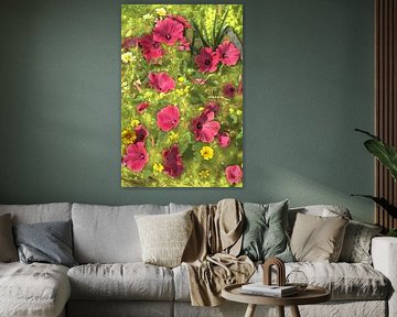 Cosmeablüten