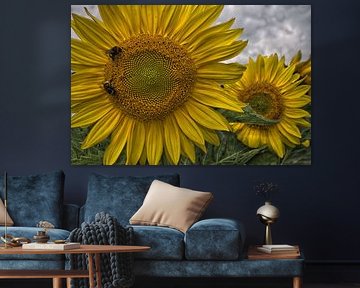 van Gogh Style