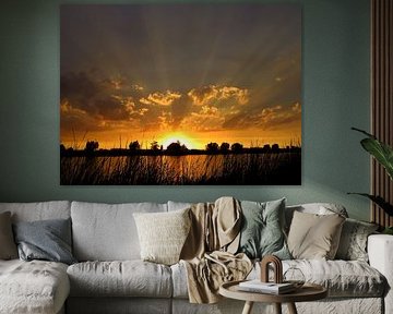 Zonsondergang rottemeren / Crespucular rays at sunset