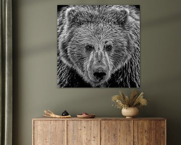 Oog in oog met een Grizzly beer; Zwartwit finish van Michael Kuijl