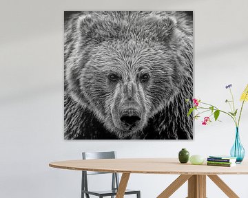 Face à face avec un ours Grizzly ; Fini noir et blanc